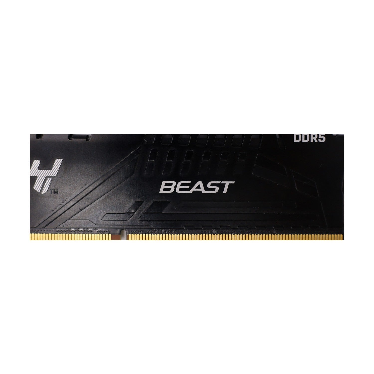 Kingston FURY Beast schwarz UDIMM 32GB RAM Modul DDR5-5200 CL40-40-40